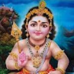 VIVAAN M