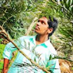 Varun Kumar N R
