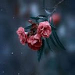 PAVITHRA P