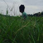 Adith P