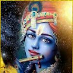 vijaykumar ramalingam